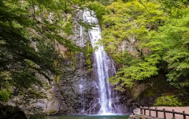 Pemandangan Air Terjun Minoo yang indah.