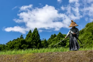 江戸時代の生活を徹底解説！庶民・武士の衣食住と1日の過ごし方